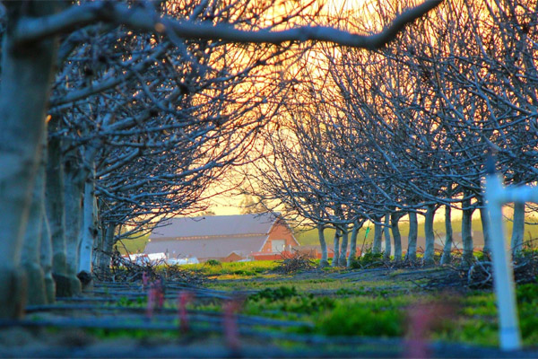 一键状态恢复的免费呼叫轰炸神器网页版