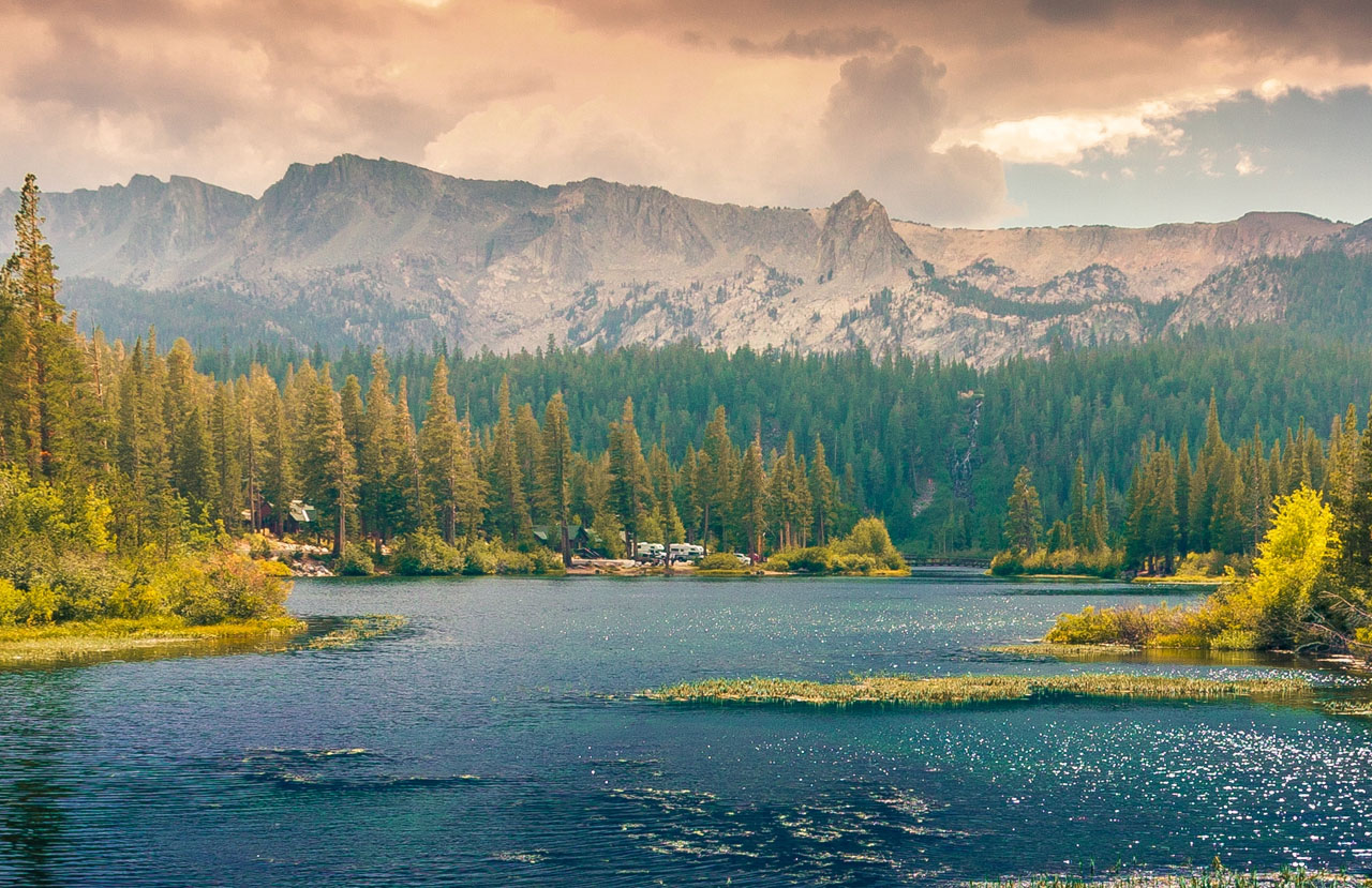 想买云呼手机号